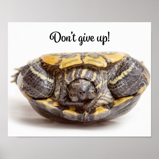 Uppåt inte Ge uppåt och nedåt - Uppåtåt Turtle Enc Poster (Framsidan)