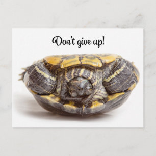 Uppåt inte Ge uppåt och nedåt - Uppåtåt Turtle Enc Vykort