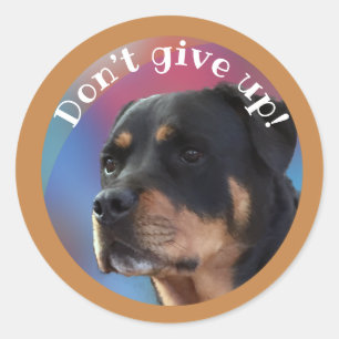 Uppåt inte Rottweiler Classic Round Sticker Ge Runt Klistermärke