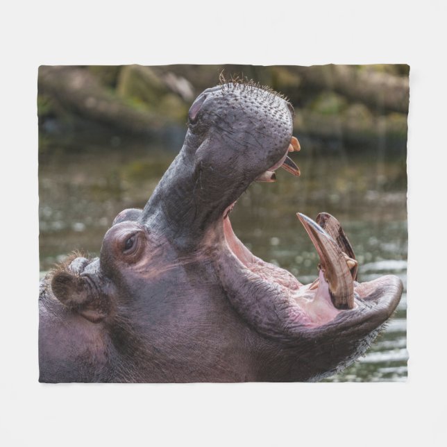 Uppåt nära med en Hippo: Tjud på Visning Fleecefilt (Framsidan (Horisontell))