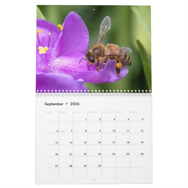 Uppåt nära och Personligt med Bees Photo Kalender (Sep 2026)