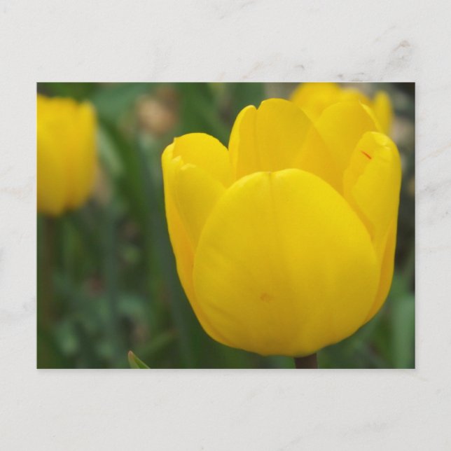 Uppåt nära och Personligt Vykort (Framsida)