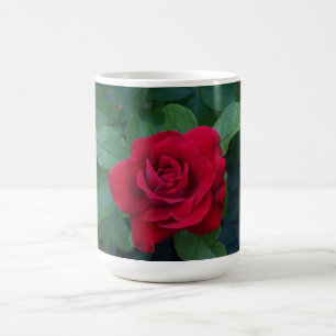 Uppåt röd ros nära kaffemugg