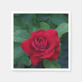 Uppåt röd ros nära pappersservett