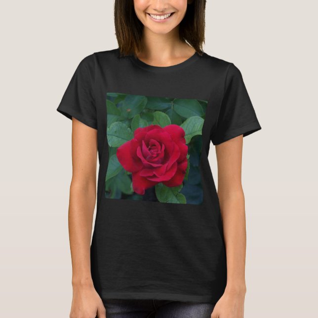 Uppåt röd ros nära t shirt (Framsida)