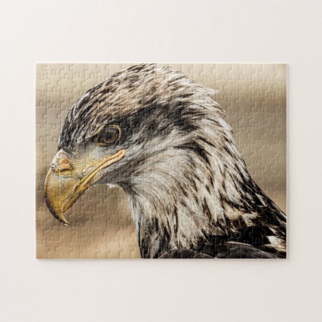 Uppåt stäng Eagle Photo Pussel (Horisontell)