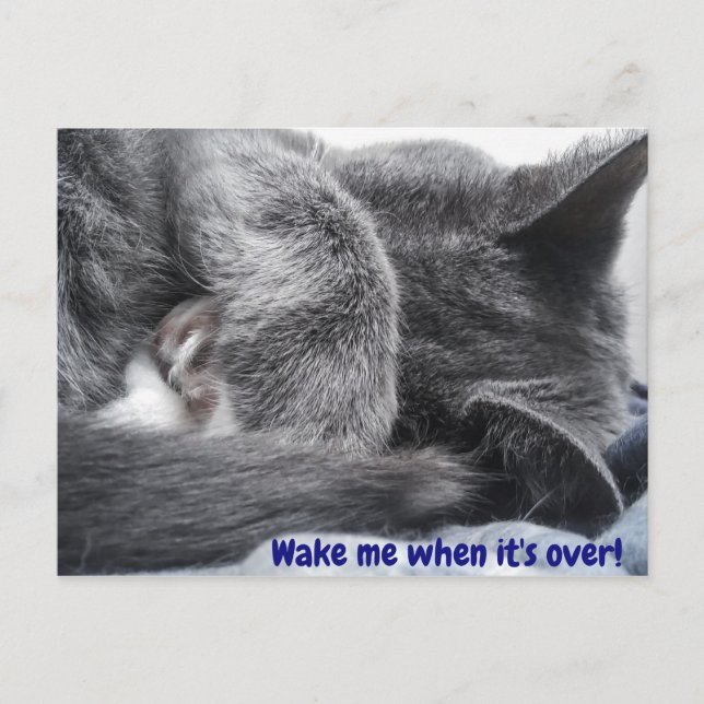 Uppåtvänt vykort för Kattunge (Framsida)