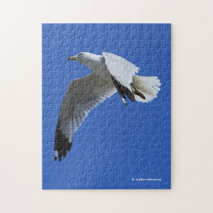 Uppblåsande Ring-fakturerad Gull under flygning Pussel