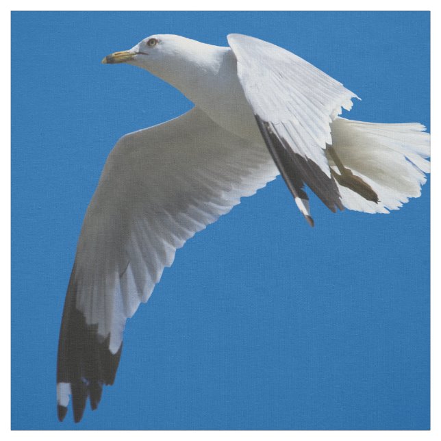 Uppblåsande Ring-fakturerad Gull under flygning Tyg (Provkarta)