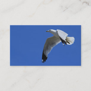 Uppblåsande Ring-fakturerad Gull under flygning Visitkort
