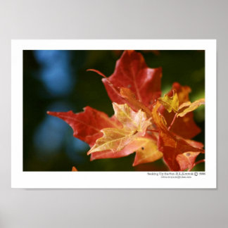 Uppblöda Sol Poster