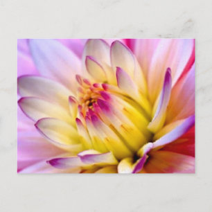 Uppblommande blomma vykort