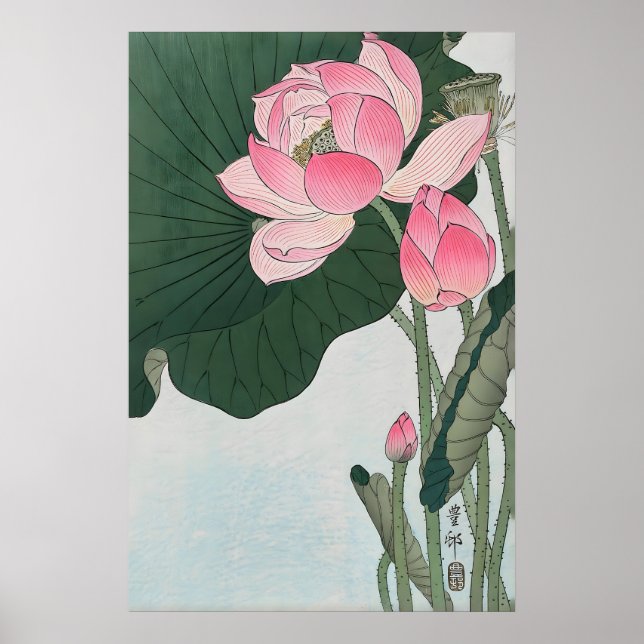 Uppblommande Lotusblommor Japanskt Finkonsttryck Poster (Framsidan)