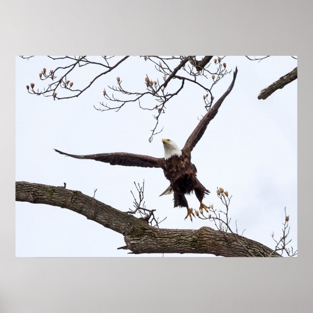 Uppbyggande Poster (Framsidan)