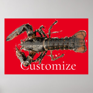 Uppdatera Maine Lobster Thunder_Cove Poster