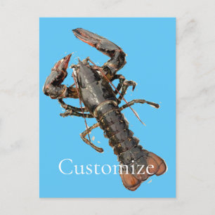Uppdatera Maine Lobster Thunder_Cove Vykort