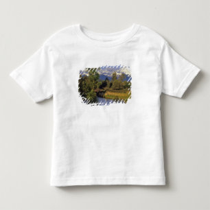Uppdrag Bäck springa genom National Bison Tee