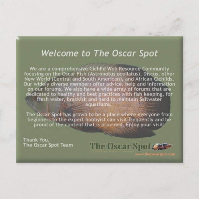 Uppdrag Påstående Vykort (Framsida)