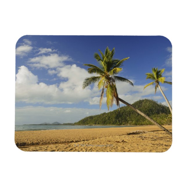 Uppdrag segment magnet (Horisontell)