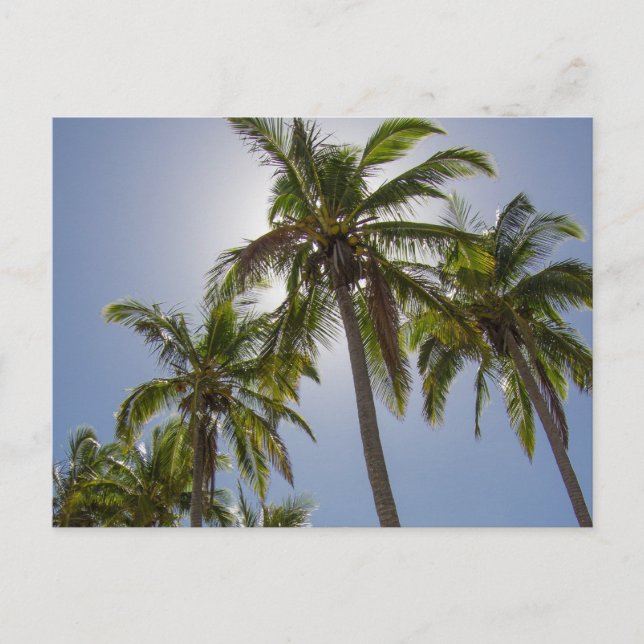 Uppdrag segment vykort (Framsida)