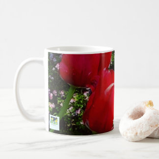 Uppenbarelsespiraler nytt liv kaffemugg
