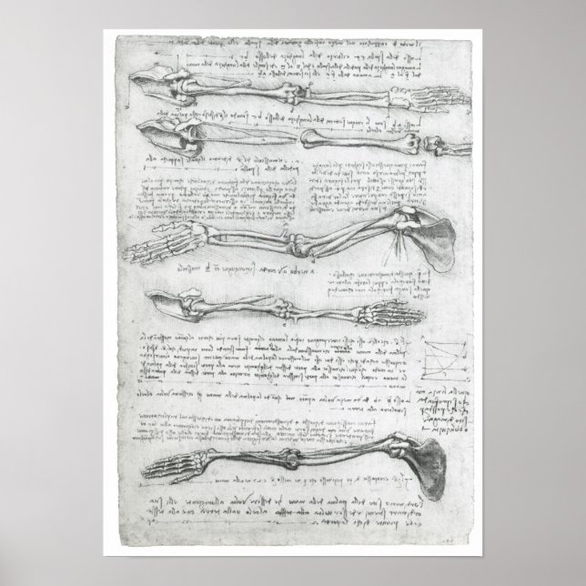 Upper Extreme, Leonardo da Vinci Poster (Framsidan)