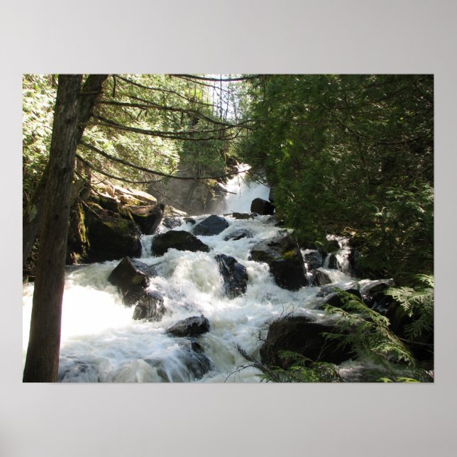 Upper Johnson Falls Poster (Framsidan)