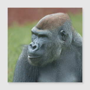 Upper nära Gorilla Lope: Enchanting Porträtt av