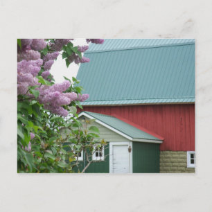 Upper Peninsula Michigan Red Barn Lilac vykort