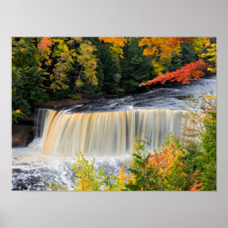 Upper Tahquamenon Falls på hösten Poster