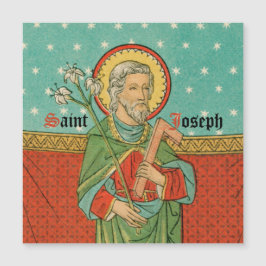 Upper Torso of St. Joseph (Detail; VVP 09)