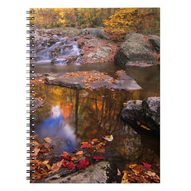 Upper Whiteak Falls, Shenandoah National Park, VA Anteckningsbok (Framsidan)