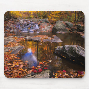 Upper Whiteak Falls, Shenandoah National Park, VA Musmatta