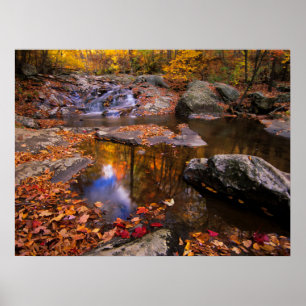 Upper Whiteak Falls, Shenandoah National Park, VA Poster