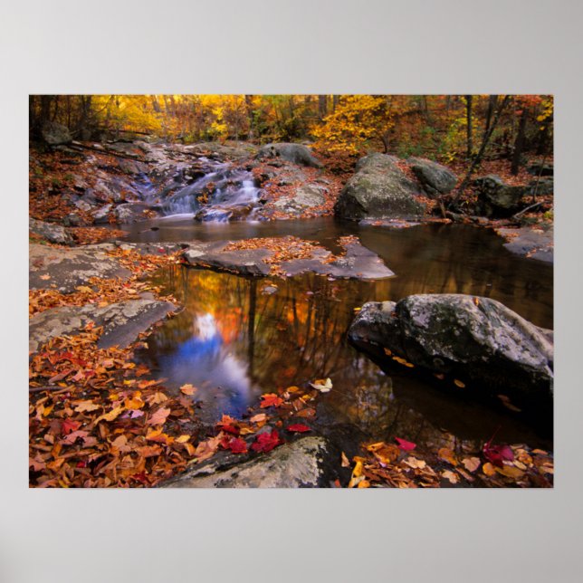 Upper Whiteak Falls, Shenandoah National Park, VA Poster (Framsidan)