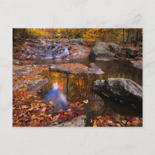 Upper Whiteak Falls, Shenandoah National Park, VA Vykort