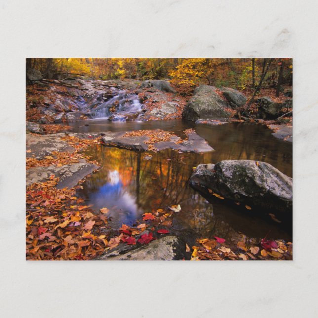 Upper Whiteak Falls, Shenandoah National Park, VA Vykort (Framsida)