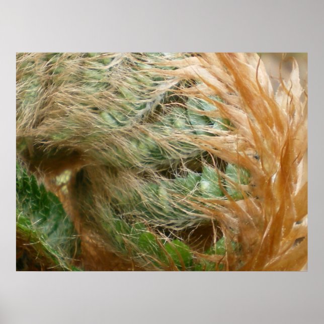 Uppfällbara Poster (Framsidan)