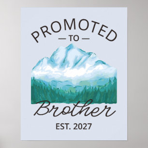 Uppflyttad till storebror Est 2027 Big Brother VI Poster