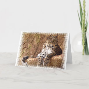 Uppföljningskort för leopard kort