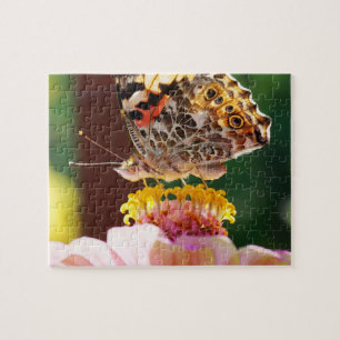 Uppför Butterfly på Rosa Zinnia Flower Pussel