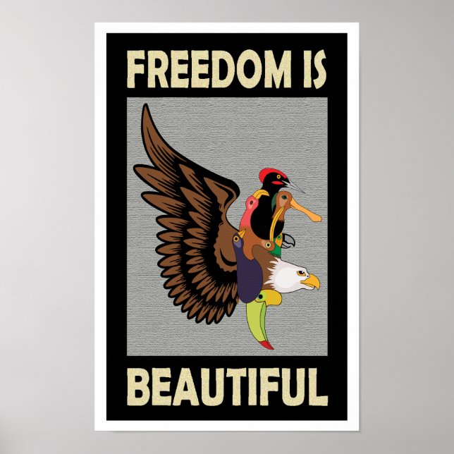 Uppfräschning av färgfåglar som flyger poster (Framsidan)