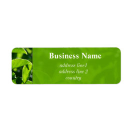 Uppfräschning av vår, grönten i sommar löv adress returadress etikett