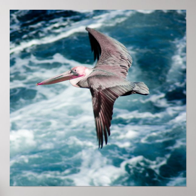 Uppfriskande Poster (Framsidan)