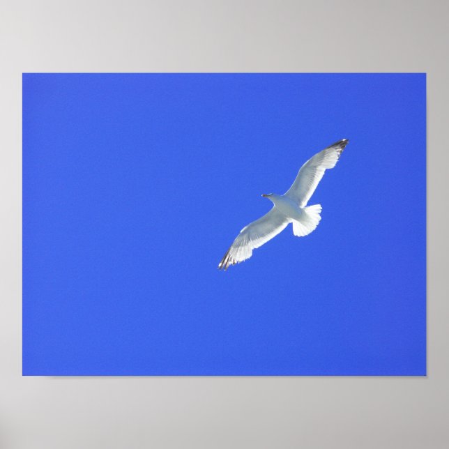 Uppfriskande Poster (Framsidan)