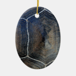 Uppgift om snäckan för gipsköldpaddor Galapagos Julgransprydnad Keramik