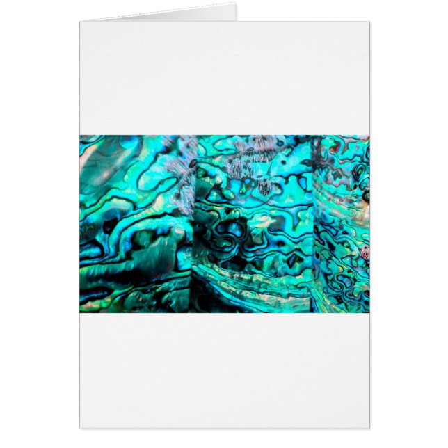 Uppgift om snäckan för Turquise abalone paua Hälsningskort (Framsidan)