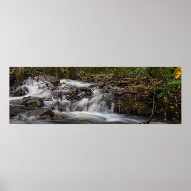 Uppgift om Vår i Springa Poster (Framsidan)