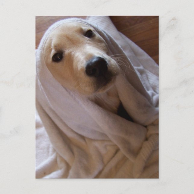 uppgifter i vykort för handdukar (Framsida)