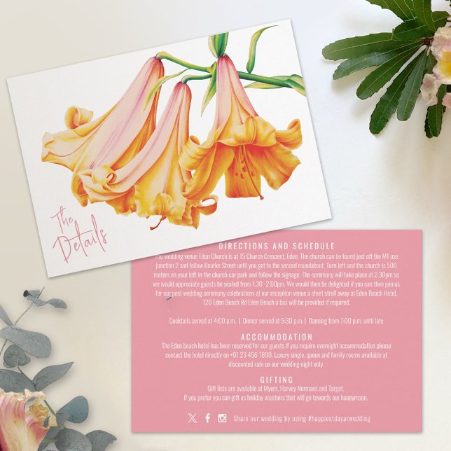 Uppgifter om African Queen lily orange rosa art br Tilläggskort (Skapare uppladdad)